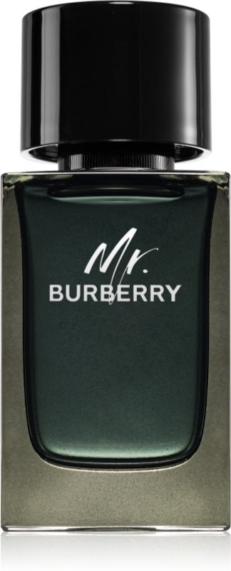 Burberry - Mr. Burberry edp 100ml tester / MAN