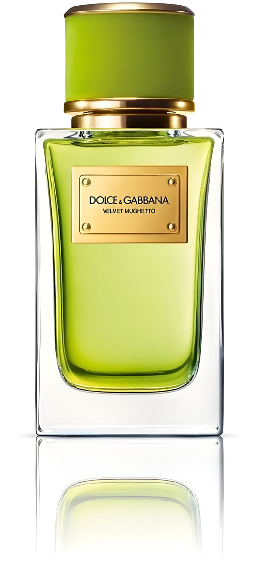 DG - Velvet Mughetto edp 100ml tester / UNI