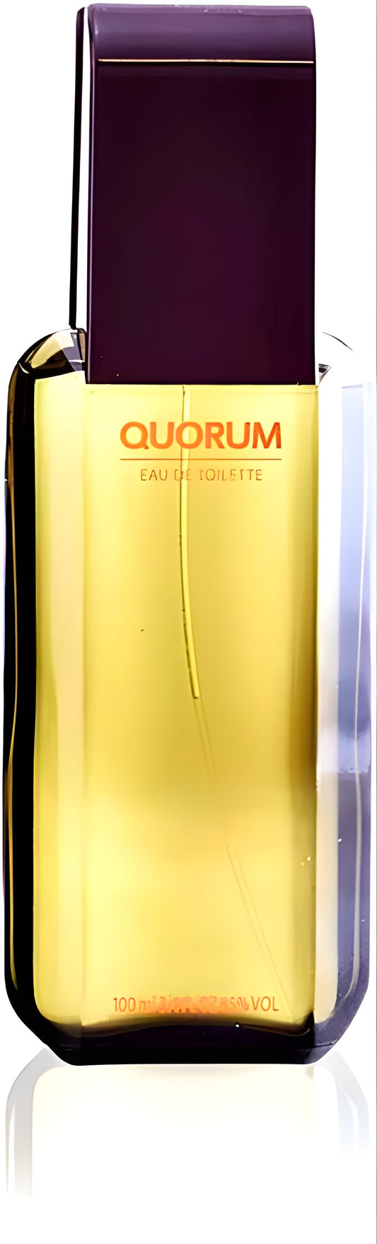 Antonio Puig - Quorum edt 100ml tester / MAN