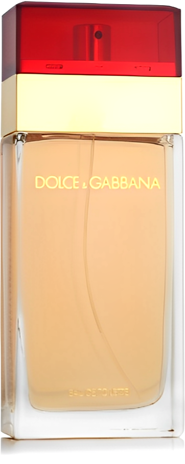 DG - Dolce Gabbana pour femme edt 100ml tester / LADY