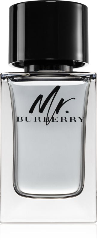 Burberry - Mr. Burberry edt 100ml tester / MAN