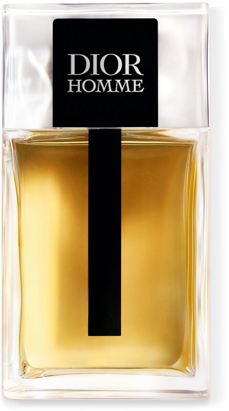 Dior - Dior Homme ~ novi ~ edt 100ml tester / MAN