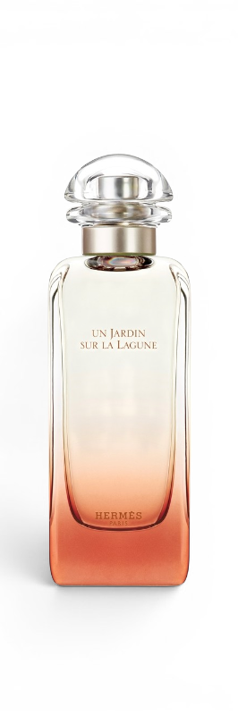 Hermes - Un Jardin Sur La Lagune edt 100ml tester / UNI